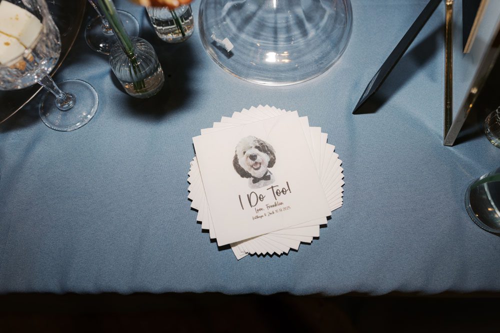 cocktail napkin